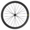 Roue Arrière Mavic Cosmic SL 45 Disc 700 Mm | 12x142 Mm | Center Lock | 2021