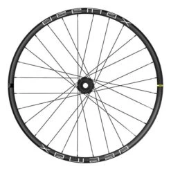 Roue Avant Mavic Deemax 29' 21 Disc IS-6 Bolt
