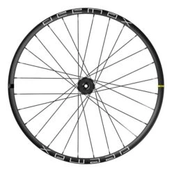 Roue Arrière Mavic Deemax 29' 21 Disc IS-6 Bolt Essieu Traversant 12x157 Mm